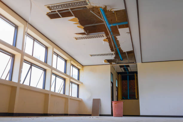 Best Water damage contractors near me  in Jacksboro, TX