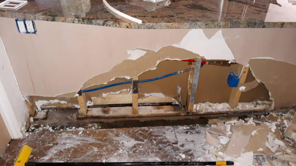 Best Water damage restoration near me  in Jacksboro, TX